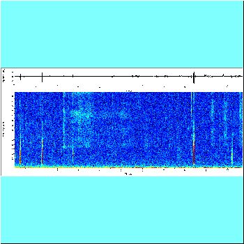 Dianema longibarbus_spectrogram.png